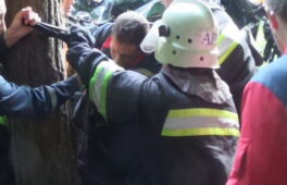 Жахлива ДТП: автомобіль врізався в дерево