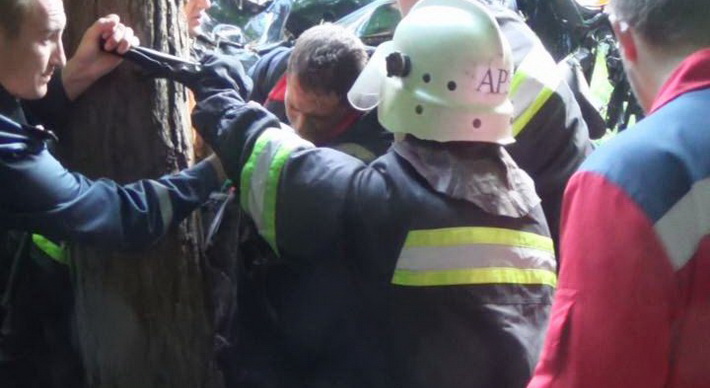Жахлива ДТП: автомобіль врізався в дерево
