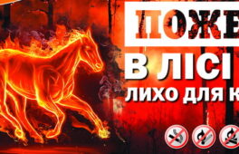 Лісівники Черкащини створюють всі умови для комфортного відпочинку населення у лісах