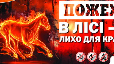 Лісівники Черкащини створюють всі умови для комфортного відпочинку населення у лісах