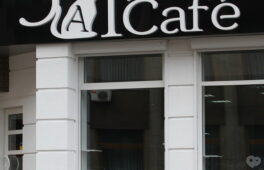 У Черкасах відкрилося “Catcafe”