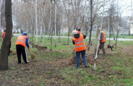 Понад півтори сотні безробітних влаштували на громадські роботи на Монастирищині