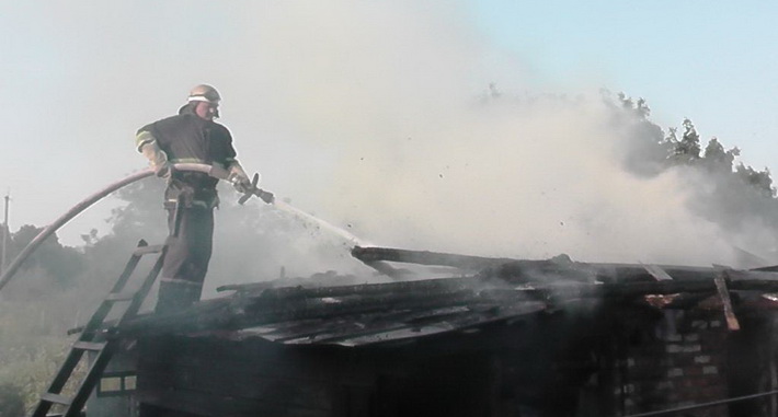У Шполянському районі під час пожежі загинули кури та качки
