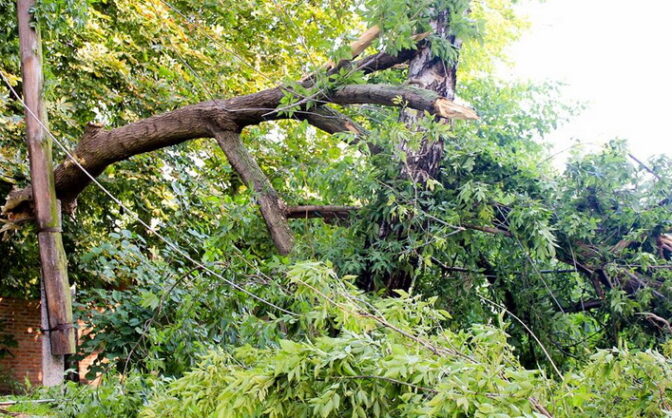 Кілька районів Черкащини постраждали внаслідок учорашньої негоди