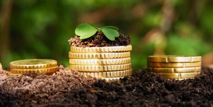 Пільгу щодо земельного податку мають не всі категорії пенсіонерів
