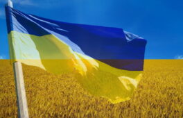 Урок національно-патріотичного виховання  для старшокласників Уманщини