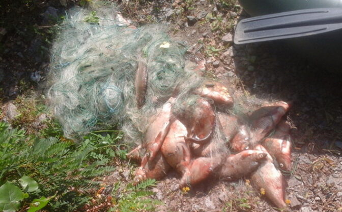 На Черкащині в Національному парку «Нижньосульський» виялено  заборонені знаряддя лову