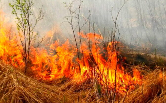 За несанкціоноване спалювання сухої трави будуть штрафувати!