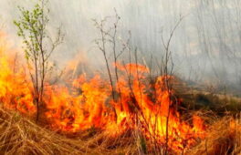 Рятівники області попереджають: безконтрольне спалювання сухої трави призводить до пожеж