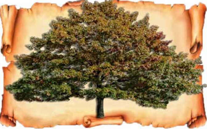 Черкащан навчать відновлювати історію свого роду