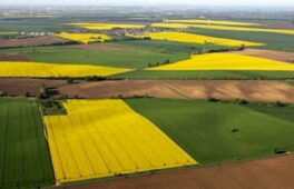 Місту повернули земельні ділянки вартістю понад 15 млн грн