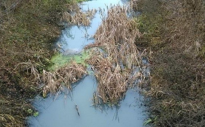 Річки Золотоношка та Суха Згар на межі екологічного лиха? (фото)