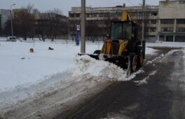 Черкащани самі очищують двори від снігу