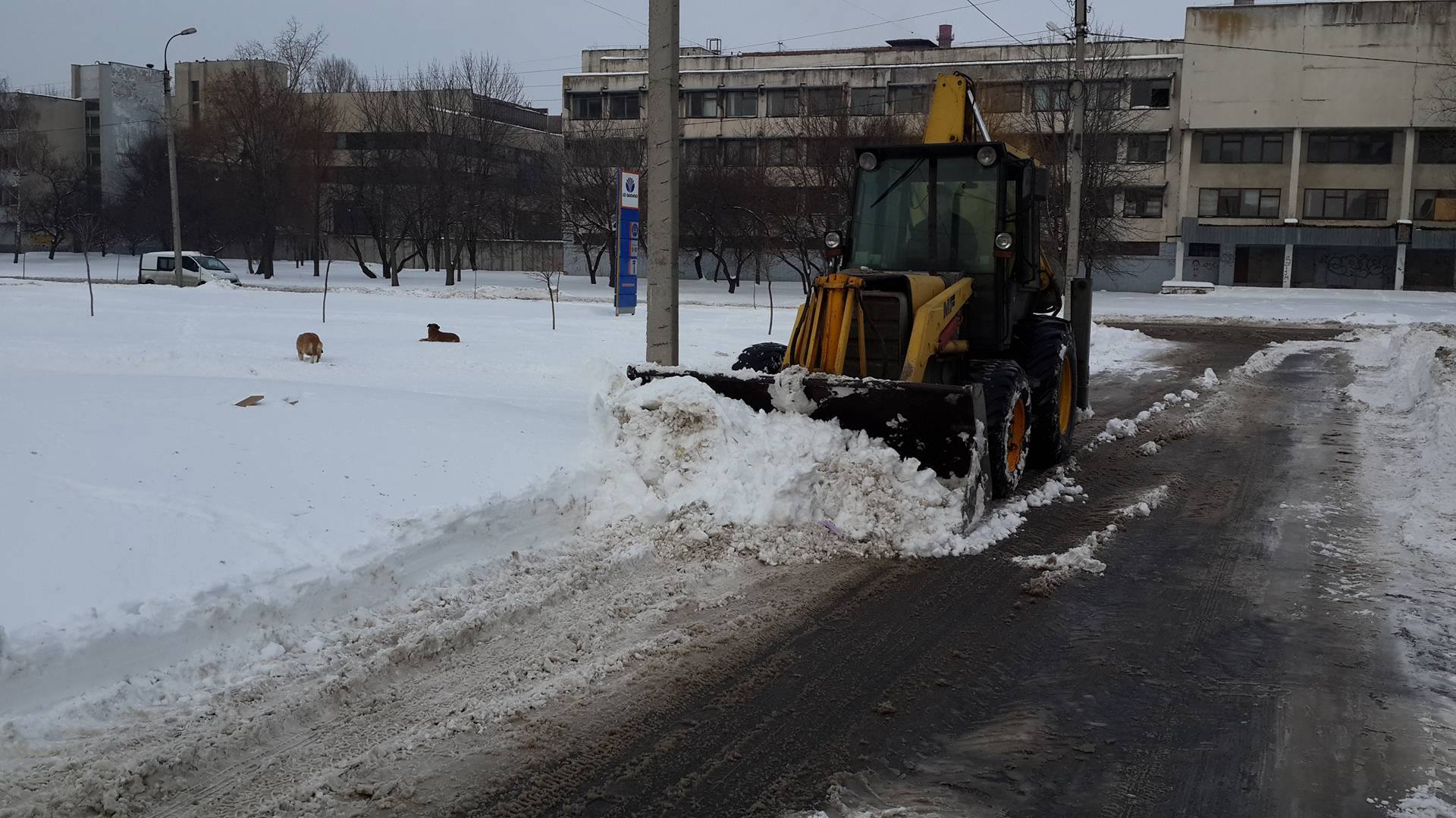 Черкащани самі очищують двори від снігу