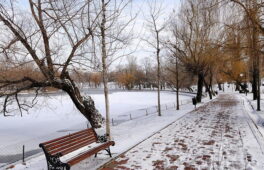 На Черкащину чекає ще одна снігова негода