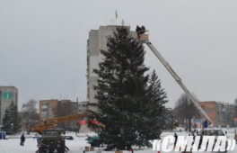 Новорічну ялинку Сміли віддадуть на обігрів малозабезпеченій сім’ї