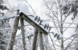8 населених пунктів на Черкащині залишилися без світла
