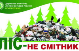 Лісове господарство закликає до прибирання зелених зон