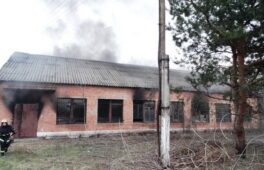 Смілянські підлітки спричинили пожежу (ВІДЕО)
