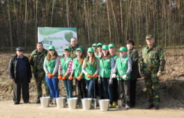 Маленькі лісівники – велика допомога
