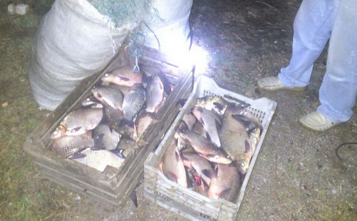 За півтора тижні нересту автомайданівці «наловили» понад 6 кілометрів браконьєрських сіток і вилучили 320 кілограмів «незаконної» риби