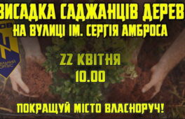На вулиці Амброса посадять дерева