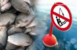 В Україні можуть запровадити рибальський квиток