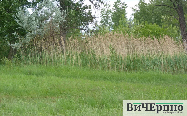 bereg dnipra4