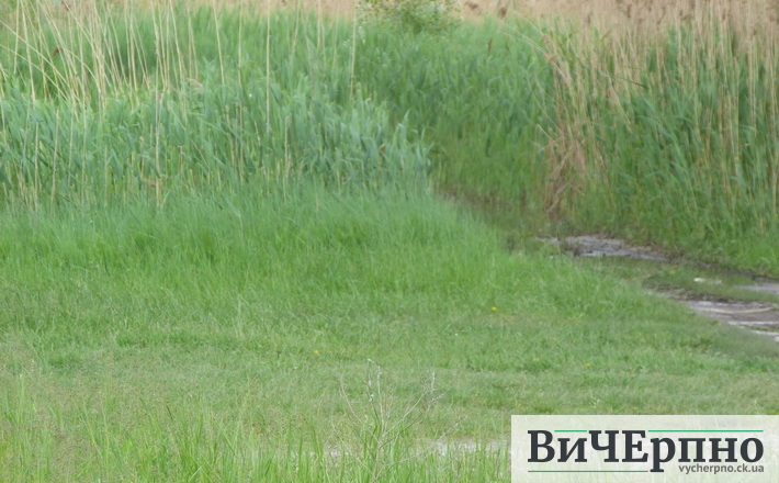 bereg dnipra5