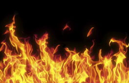 У Лисянському районі під час пожежі загинув господар