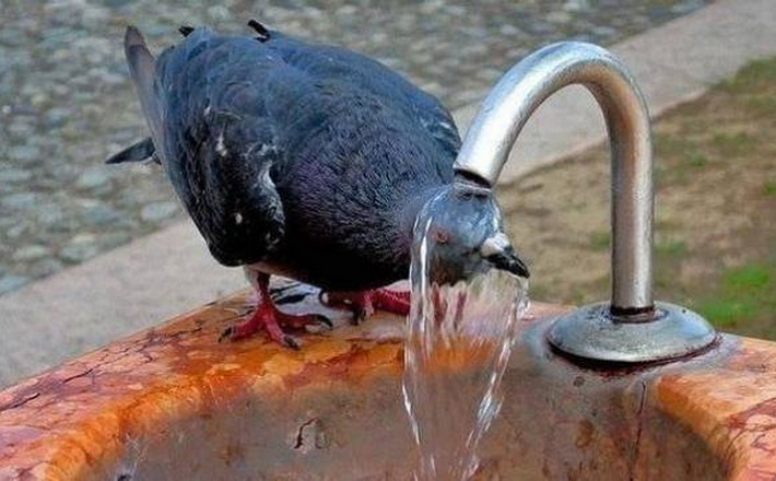 Африканська спека: синоптики дали прогноз погоди на літо