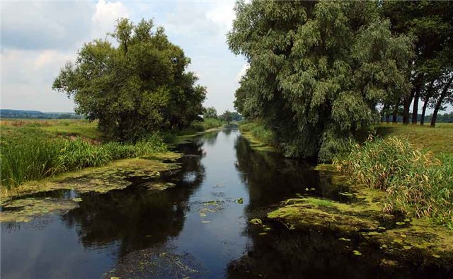 Дорожня карта першочергових дій по спасінню басейну річки Тясмин