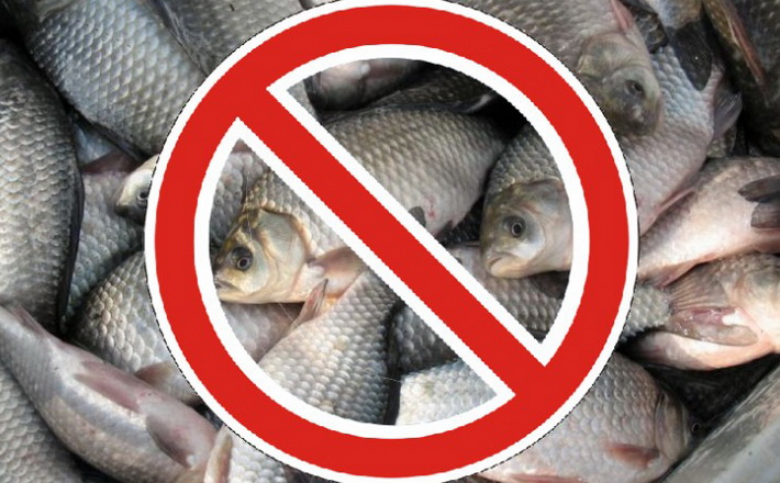 На Черкащині поліцейські затримали чоловіка, який у нерестовий період виловлював рибу сітками