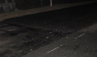 15175421_714550962034176_1766867171_n