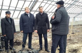 «Це – конкурентна експортна позиція», – очільник області про «горіховий» проект