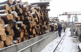 У Черкасах правоохоронцями припинено злочинну схему розкрадання незаконно вирубаної деревини та лісоматеріалів