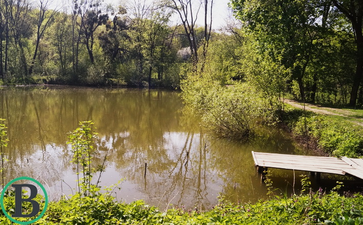DSC09879