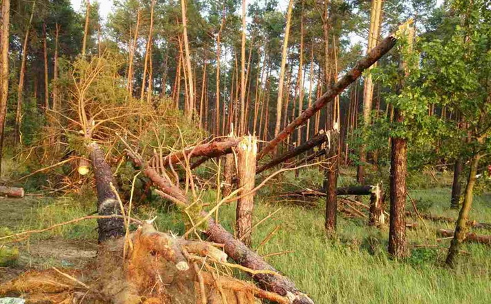 Під час буревію на Черкащині загинула 18-річна киянка