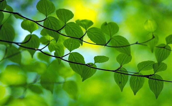 Ще сьогодні на Черкащині можливі дощі, – синоптики