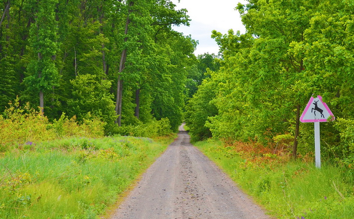 Фото тематичне