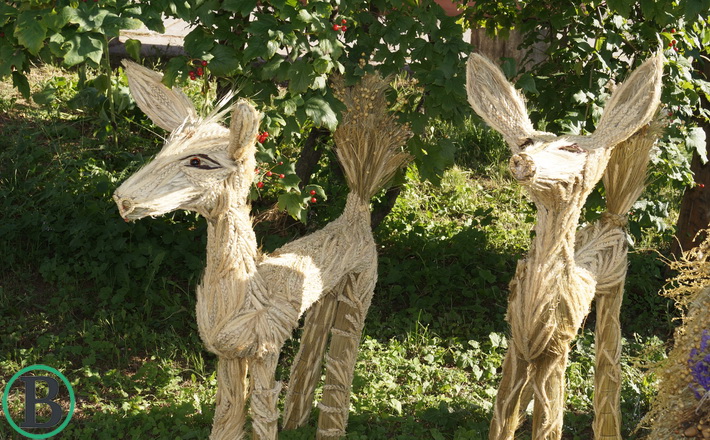 DSC06540