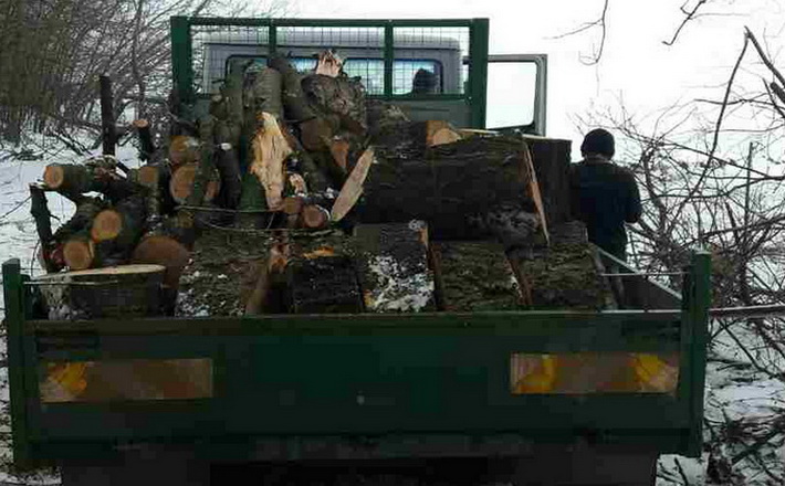 На Черкащині припинено незаконну вирубку дерев