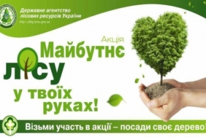 На Черкащині стартує акція «Майбутнє лісу у твоїх руках»