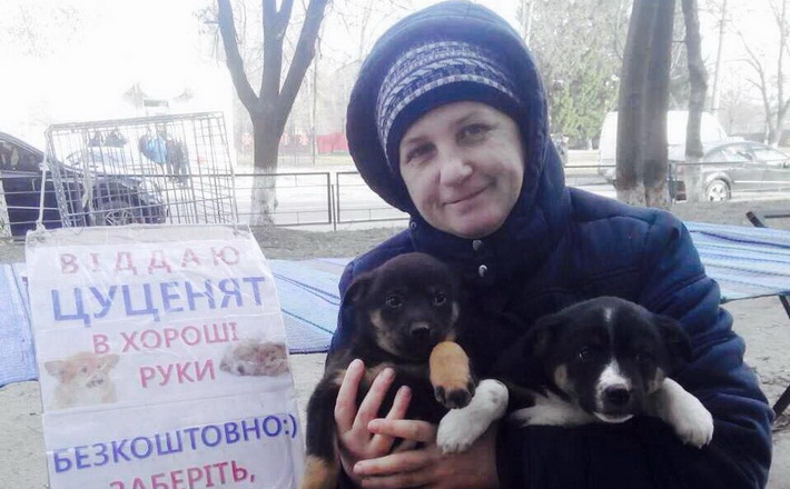 У Звенигородці почали щеплювати проти сказу та стерилізувати безпритульних тварин