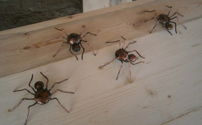image-5