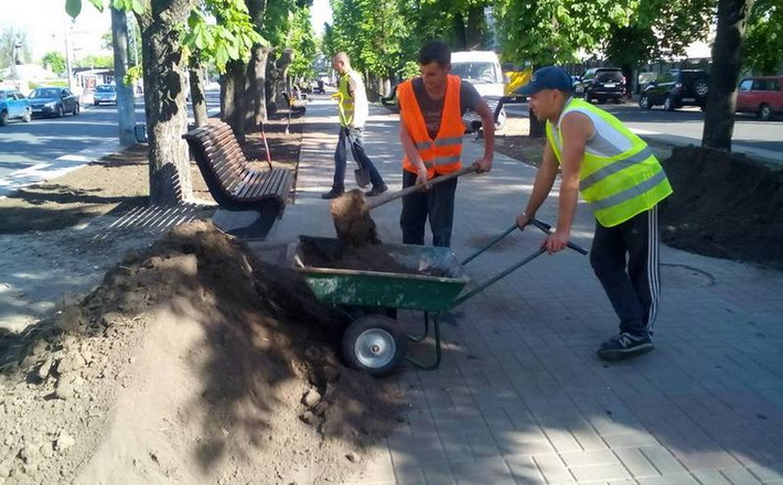 У Черкасах озеленюють бульвар Шевченка