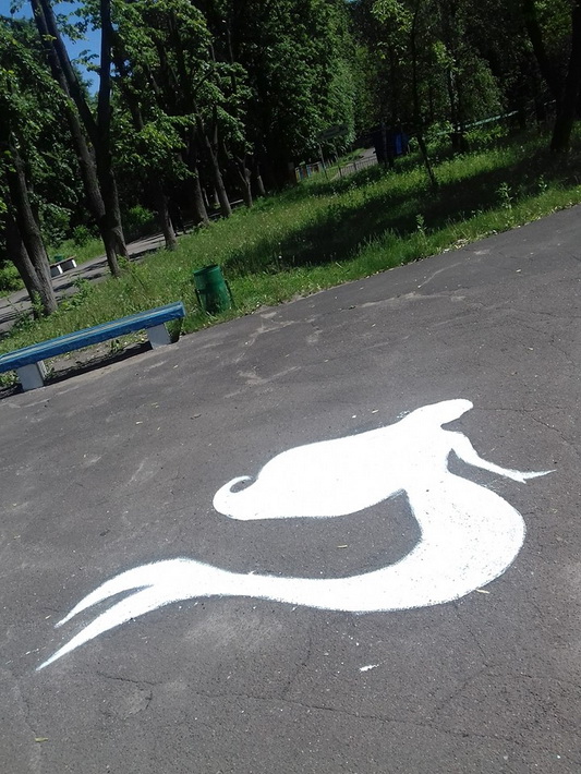 32207679_1618136124900200_1815566707054346240_n