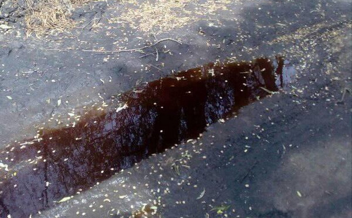 В одному з сіл на Кам’янщині в річку витекло близько 10 тонн аміаку