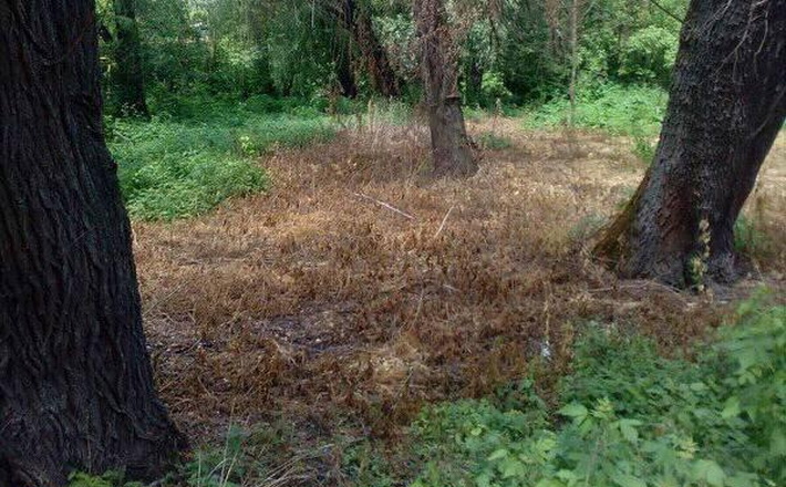 32336975_204088840198623_1148996016167452672_n