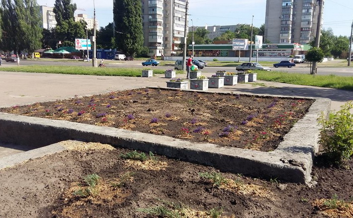 У черкаському парку викопали трояндові кущі (фото)